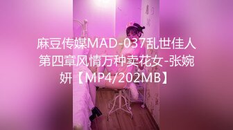 蜜桃影像傳媒 PMC415 出差半夜遭討厭的上司迷奸 舒可芯