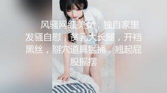 哎呀真糟糕 《隱藏片段2》