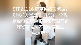 餐厅女厕偷拍 阔腿裤少妇的小黑B