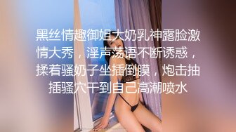 大屌网黄约操小粉丝 下集