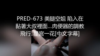 PRED-673 美腿空姐 陷入在黏著大叔裡面…肉便器的調教飛行..星宮一花[中文字幕]