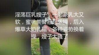 淫荡巨乳嫂子，一对豪乳大又软，蜜桃美臀翘起求操，后入爆草大奶乳摇，各种姿势换着操，嫂子太骚了