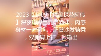   文静小姐姐床上非常骚和炮友家里操逼，反差婊大屌插入浪叫，你舒服吗骑乘自己扭，掰开多毛骚逼