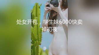 痴女小恶魔！痛感激情鞭打！