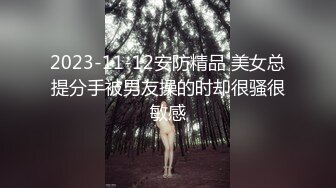 2024年流出，【私房加密破解】【秀人网 陆萱萱】，透明网纱紧身裙，若隐若现的感觉真的很顶级 (1)