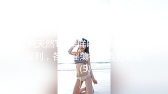 【超精品泄密】极品淫妻少妇『爱丽丝』口爆毒龙啪啪