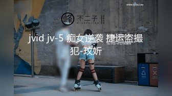 jvid jv-5 痴女逆袭 捷运盗撮犯-玟妡