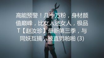 高能预警！几十万粉，身材颜值巅峰，比女人还女人，极品T【赵汝珍】最新第三季，与同妖互搞，被直男啪啪 (3)