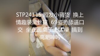 STP24775 绝美未公开作品主人的私人宠物女仆▌小婕儿 ▌最喜欢主人痴女仆奉仕，旋转AV棒不断抽插浓厚中出白浆溢流 VIP2209