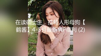 麻豆传媒-女神恋爱巴士 淫乱巴士的性爱惩处 麻豆女神苏清歌 下集