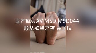 国产麻豆AV MSD MSD044 顺从欲望之夜 袁子仪