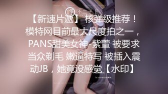 《震撼泄密》身临其境身材无敌微博40万粉大奶一线天秀人美女【何嘉颖】露三点和摄影师互动画面唯美诱人4K超清