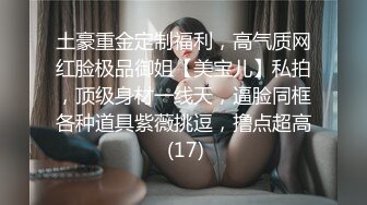 十分耐玩的少妇4