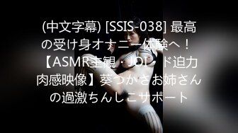 (中文字幕) [SSIS-038] 最高の受け身オナニー体験へ！ 【ASMR主観・JOI・ド迫力肉感映像】葵つかさお姉さんの過激ちんしこサポート