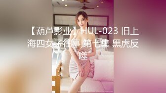 小马寻花文静肉肉大白美乳小少妇