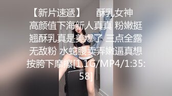 極品巨乳小模外拍.色影師忍不住摸幾把還偷插小穴