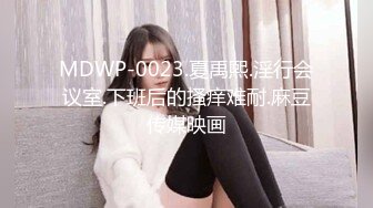 MDWP-0023.夏禹熙.淫行会议室.下班后的搔痒难耐.麻豆传媒映画