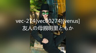 vec-274(vec00274)[venus]友人の母親明里ともか