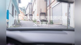 隔壁美人妻喝醉进错房间[中文字幕]