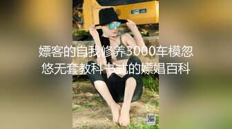 嫖客的自我修养3000车模忽悠无套教科书式的嫖娼百科