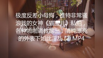 泡良PUA高手，91约炮大神【妇科圣手】征服三位偸情美少妇，附聊天记录及生活照