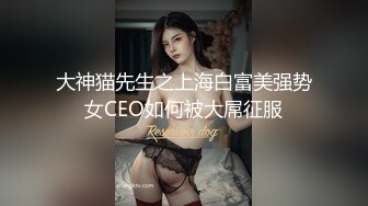 大神猫先生之上海白富美强势女CEO如何被大屌征服