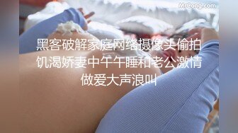 露出温泉不伦旅行 26 前编