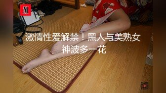 激情性爱解禁！黑人与美熟女 神波多一花