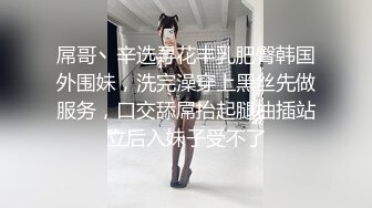 屌哥丶辛选寻花丰乳肥臀韩国外围妹，洗完澡穿上黑丝先做服务，口交舔屌抬起腿抽插站立后入妹子受不了