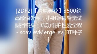 [2DF2]【壹屌寻花】3500约高颜值外围，小姐姐很警觉试图挡镜头，成功偷拍性爱全程 - soav_evMerge_ev [BT种子]