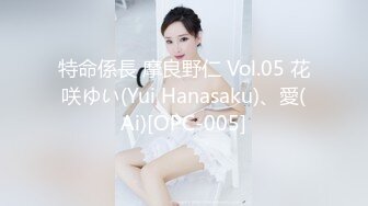 特命係長 摩良野仁 Vol.05 花咲ゆい(Yui Hanasaku)、愛(Ai)[OPC-005]