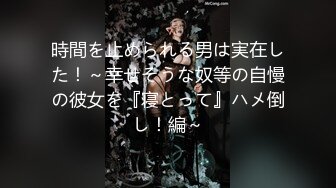 時間を止められる男は実在した！～幸せそうな奴等の自慢の彼女を『寝とって』ハメ倒し！編～