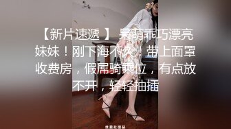 后入骚货大屁股打桩