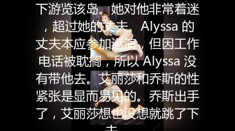 Alyssa 正在当地导游的带领下游览该岛。她对他非常着迷，超过她的丈夫。Alyssa 的丈夫本应参加巡演，但因工作电话被耽搁，所以 Alyssa 没有带他去。艾丽莎和乔斯的性紧张是显而易见的。乔斯出手了，艾丽莎想也没想就跳了下去。