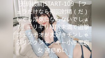 [无码破解]START-109 「フェラだけなら何回射精（だ）しても浮気にならないでしょ？」ギリギリNTR未満で追撃フェラチオが大好きチンしゃぶリスクジャンキー小悪魔痴女 宮島めい