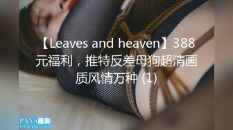 【Leaves and heaven】388元福利，推特反差母狗超清画质风情万种 (1)