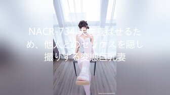 豪乳女神『Diary』淫乱实录 豪乳女友幻身狐尾女仆用蜜穴尽心伺候单男