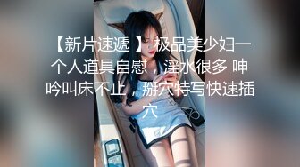 Al&mdash;刘亦菲极致无码