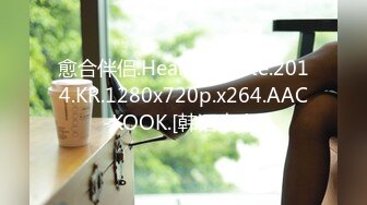 愈合伴侣.Healing Mate.2014.KR.1280x720p.x264.AAC-KOOK.[韩语中字]