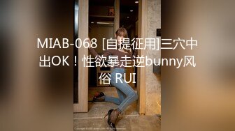 MIAB-068 [自提征用]三穴中出OK！性欲暴走逆bunny风俗 RUI